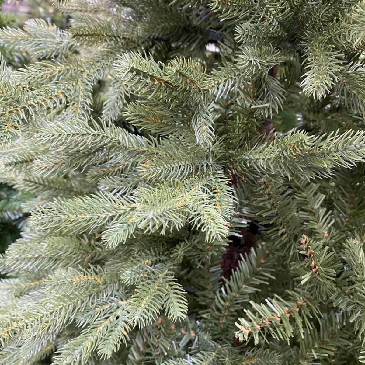 6FT Barrington Spruce Puleo Artificial Christmas Tree | AT96
